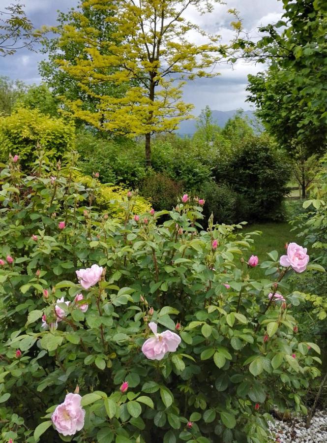 Casa Delle Arti Fattoria Dei Fiori Villa Sospirolo ภายนอก รูปภาพ