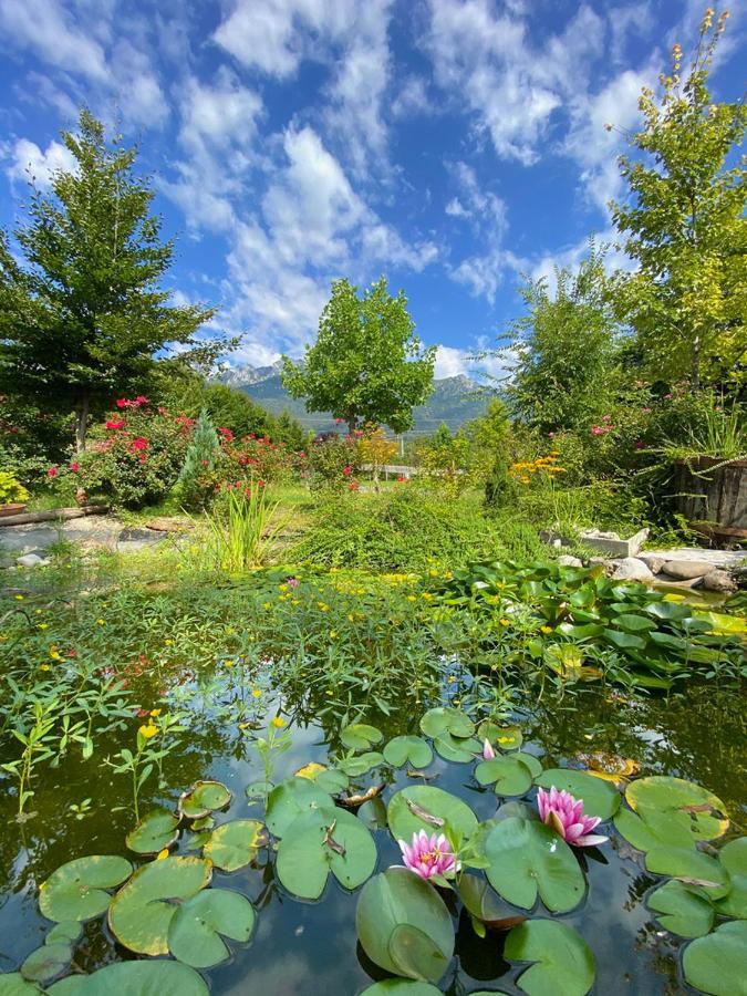 Casa Delle Arti Fattoria Dei Fiori Villa Sospirolo ภายนอก รูปภาพ