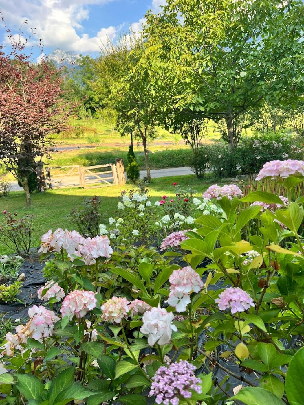 Casa Delle Arti Fattoria Dei Fiori Villa Sospirolo ภายนอก รูปภาพ