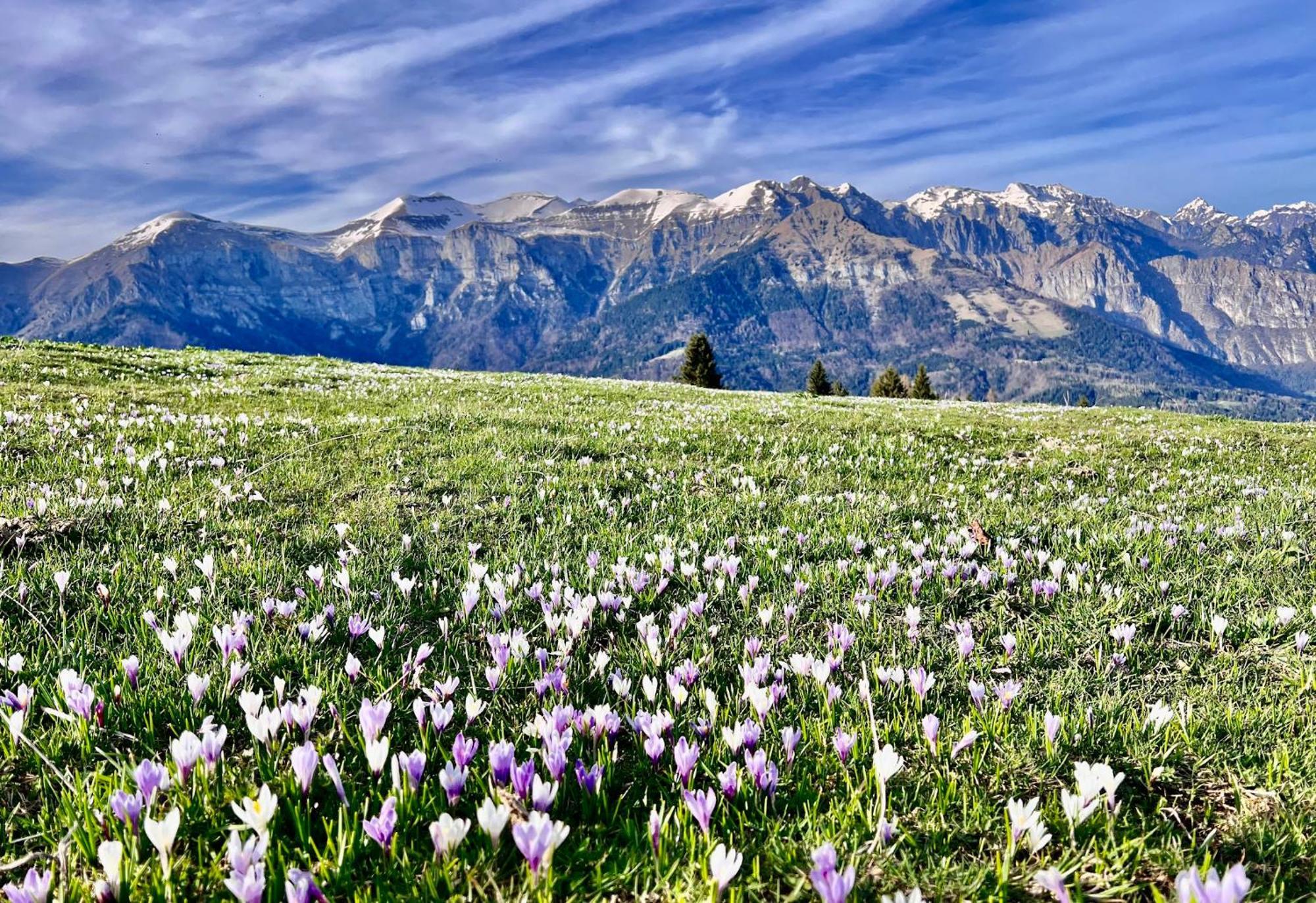 Casa Delle Arti Fattoria Dei Fiori Villa Sospirolo ภายนอก รูปภาพ